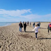 Partez à La Découverte Des Trésors De La Plage Et Du Littoral !