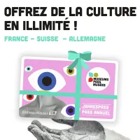 Découvrez les avantages du Pass Musées, à prix réduit DR