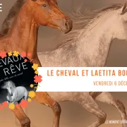 Passion cheval : rencontre avec Laetitia Boulin-Neel