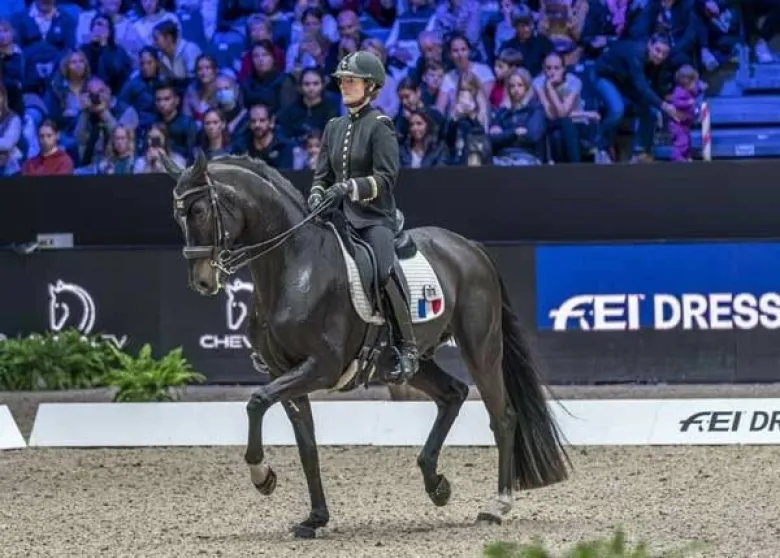 L'écuyer du Cadre Noir Pauline Basquin vient encore de signer une belle performance dans la Reprise Libre en Musique avec une troisième place en Coupe du monde à Lyon avec le petit mais très élégant Sertorius de Rima Z*IFCE.