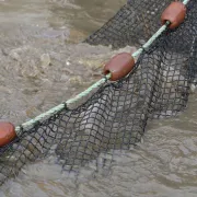 Pêche à l’étang de La Gabrière