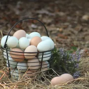 Petit déj à la ferme à Baillou