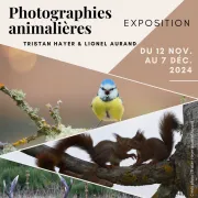 Photographie Animalières