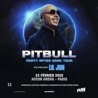 Le concert de Pitbull à Paris en février 2025 DR