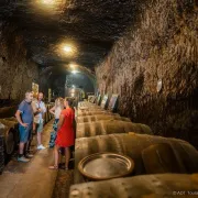 Portes ouvertes des Caves Cathelineau