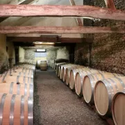 Portes ouvertes en Jurançon : Domaine Bellegarde