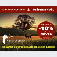 Un code promo pour vos cadeaux de Noël DR