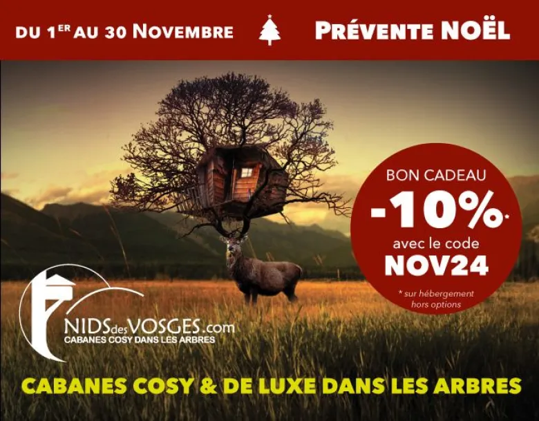 Un code promo pour vos cadeaux de Noël