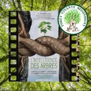 Projection du film L'intelligence des arbres