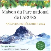 Projection : Le roi des forêts ancestrales, l'ours brun