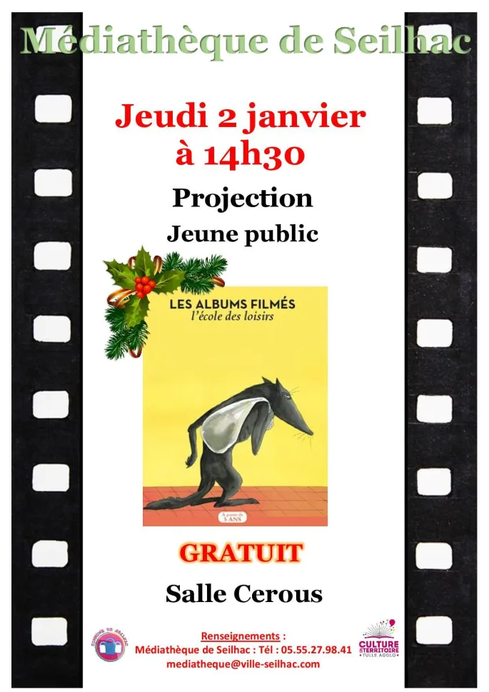 Projection  : Les albums filmés