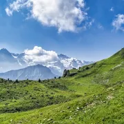 Projection sur Les Alpes