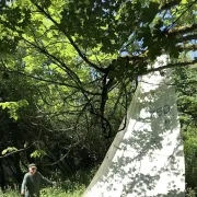 Promenade-découverte au jardin d'hélys-oeuvre