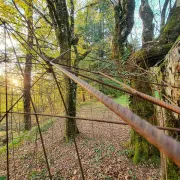 Promenade-découverte au jardin d'hélys-oeuvre