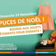 Puces de Noël