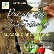 Puces Des Couturières