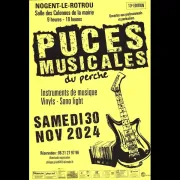 Puces musicales du Perche | 13e édition !