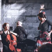 Quand le Classique rencontre le Flamenco