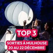 Que faire à Mulhouse ce week-end ? Découvrez nos 3 idées de sorties féériques pour les fêtes de fin d’année !