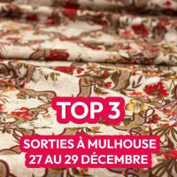 Que faire à Mulhouse ce week-end ? Top 3 des sorties festives pour bien finir l’année ! DR