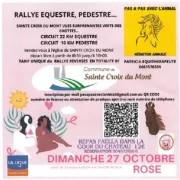 Rallye équestre et pédestre pour octobre rose