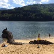 Ramassage Des Déchets Autour Du Lac