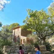 Rando-Cezanne - Du Tholonet aux carrières de Bibémus