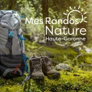 Rando Nature  - De Colomiers A Pibrac A Travers Les Coulees Vertes, Destination Pyrenicimes