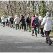 Randonéé pédestre de 5km