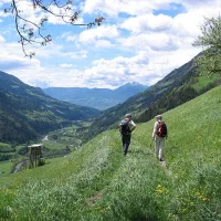 La randonnée, un sport idéal pour parcourir les Vosges d'Alsace. &copy; DR