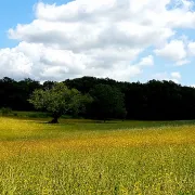 Randonnée à St Médard d\'Excideuil organisée par Les Pieds dans l’herbe.