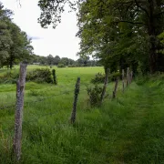 Randonnée avec Pique et Pousse en Quercy Blanc