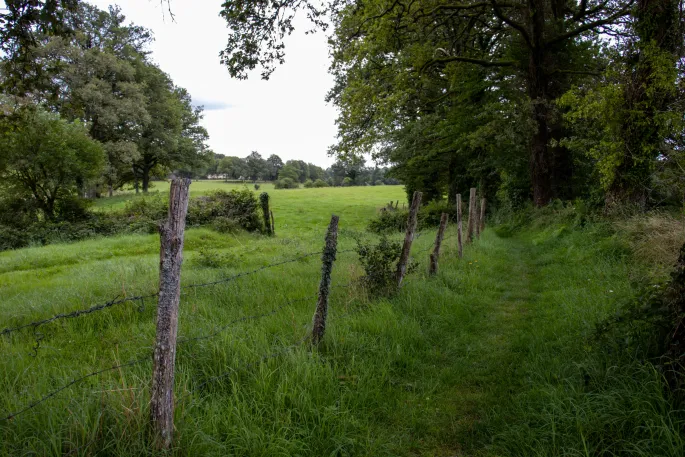 Randonnée avec Pique et Pousse en Quercy Blanc