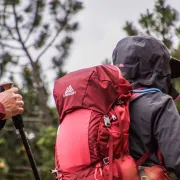 Randonnée : Chemin des cygnes à l'envers