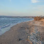 Randonnée commentée : Lido du Jaï, nature sauvage entre deux étangs