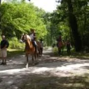 Randonnée de Printemps en Brenne