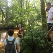 Randonnée découverte nature sur une demi-journée