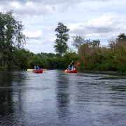 Randonnée en kayak sur la Touques