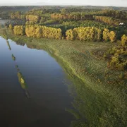 Randonnée naturaliste au marais d\'Orx