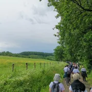 Randonnée pédestre Bois des Boeufs