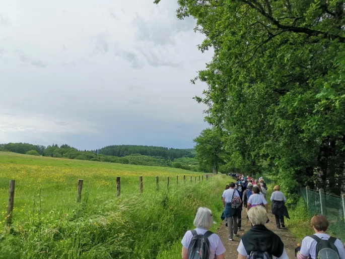 Randonnée pédestre Bois des Boeufs