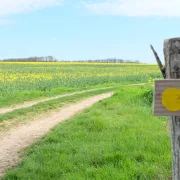 Randonnée pédestre des Hameaux à Lunay