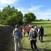 Randonnée pédestre du Printemps