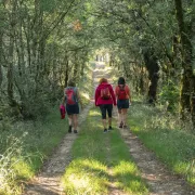 Randonnée Téléthon à Vire-sur-Lot