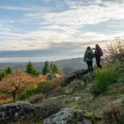 Randonnées accompagnées