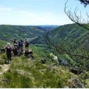 Randonnées avec les Randopattes