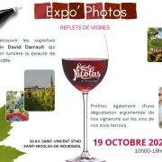 Reflets de Vignes