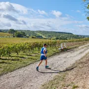 Reims Champagne Run 2024