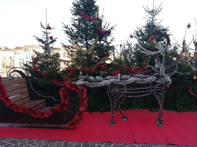 Rencontre avec les rennes du Père Noël