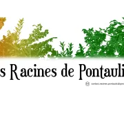 Rendez-vous avec les Racines de Pontaulic